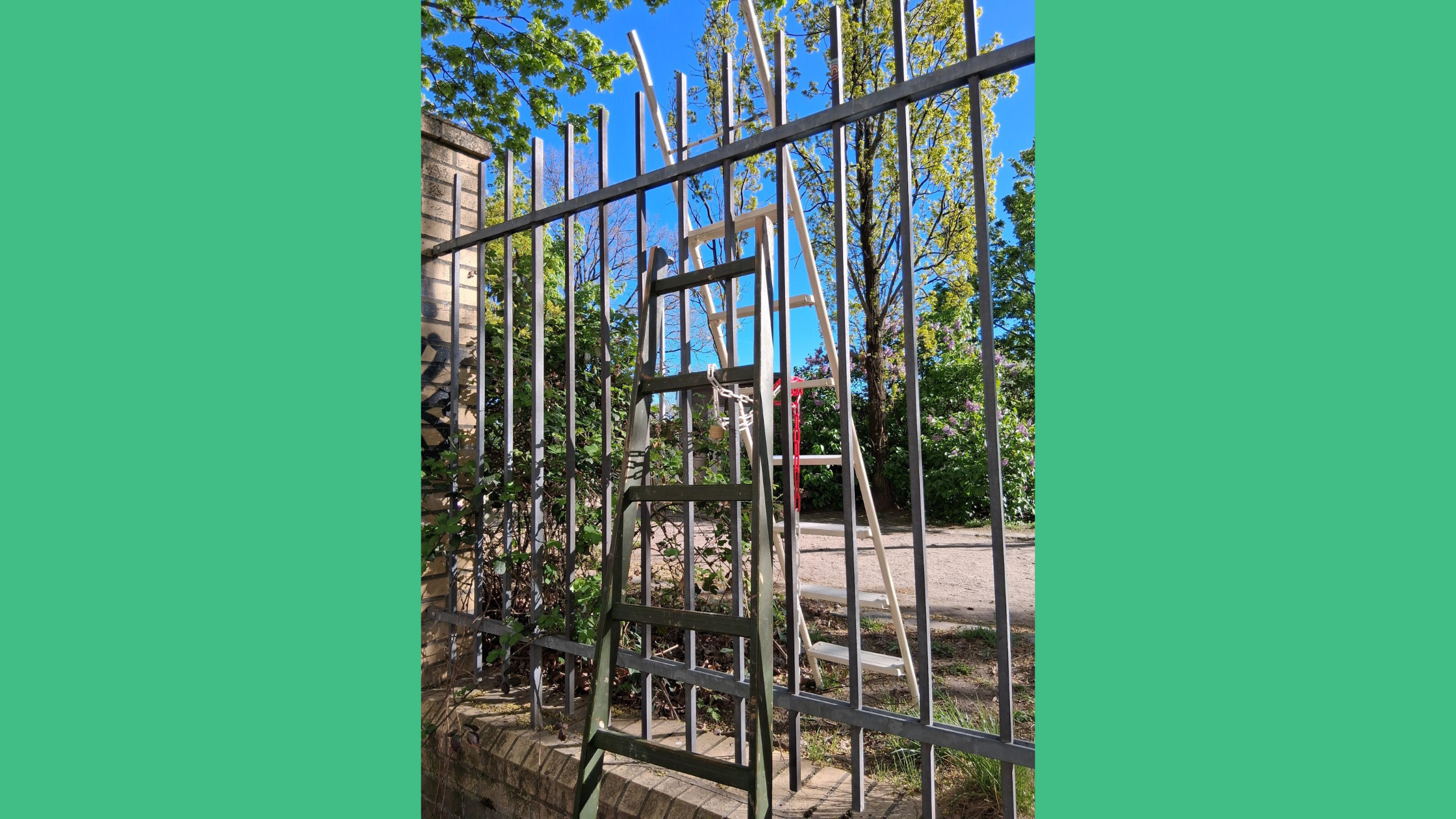 There's a ladder on either side of a metal fence. They're attached together through the fence by a padlock and chain.
